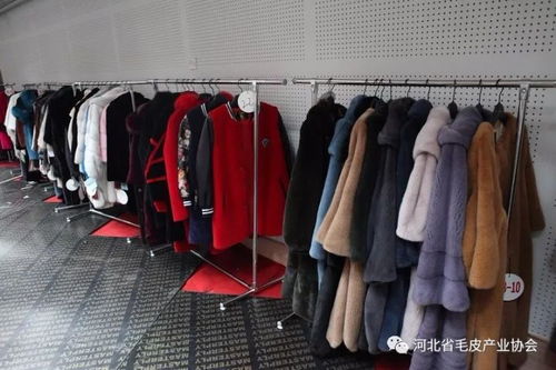 我们是认真的——河北省第二届'裘都杯'裘皮服装服饰十大品牌大赛精彩瞬间